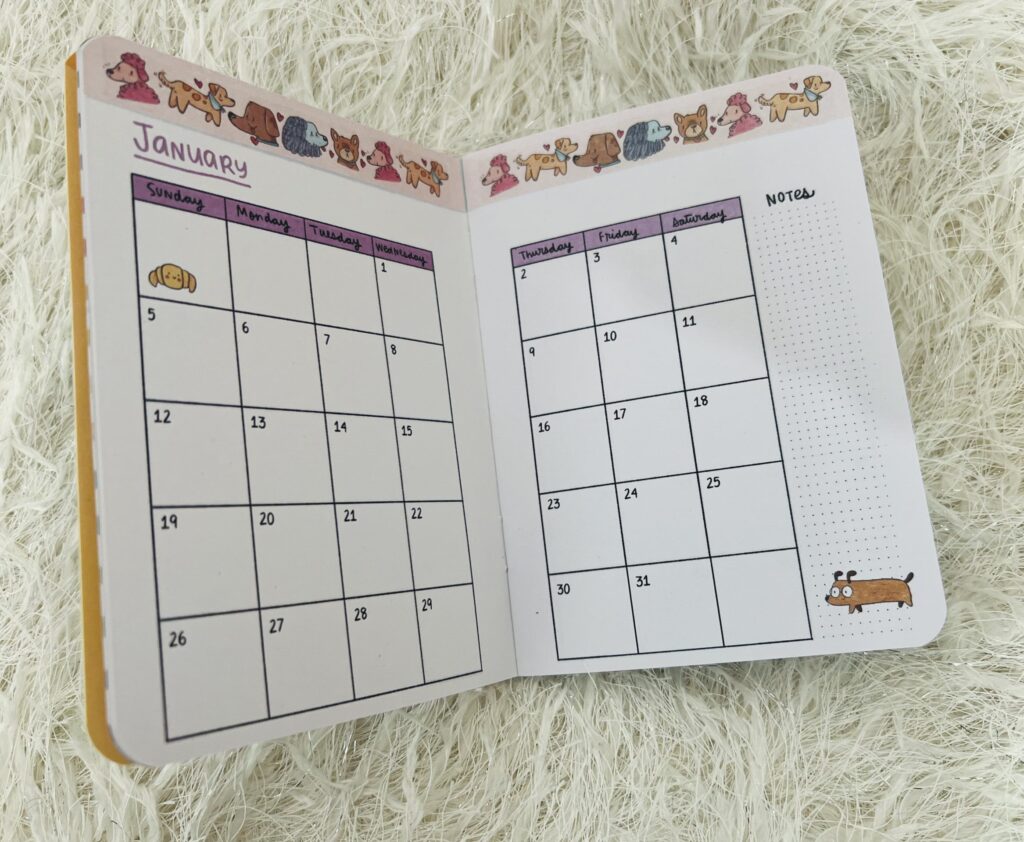 Lost in the World of Alicia Souza: A Planner Lover's Journey - Pocket Planer - TheMemoryBites