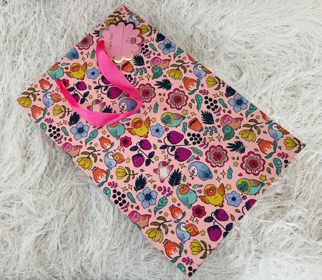 Lost in the World of Alicia Souza: A Planner Lover's Journey - Paper Bag - TheMemoryBites
