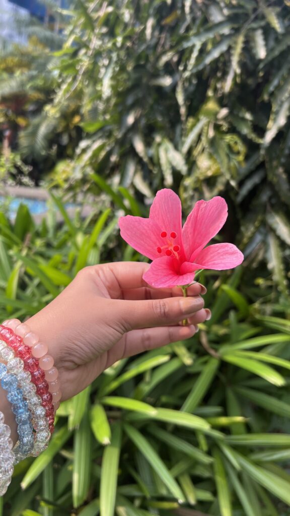 Happy New Year 2025 - Nature - ThememoryBites
