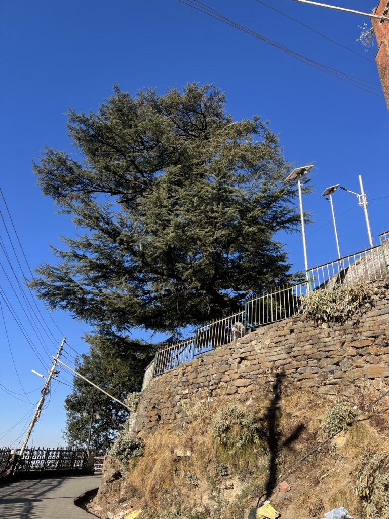 Exploring Shimla in a Flash - Scenery - TheMemoryBites
