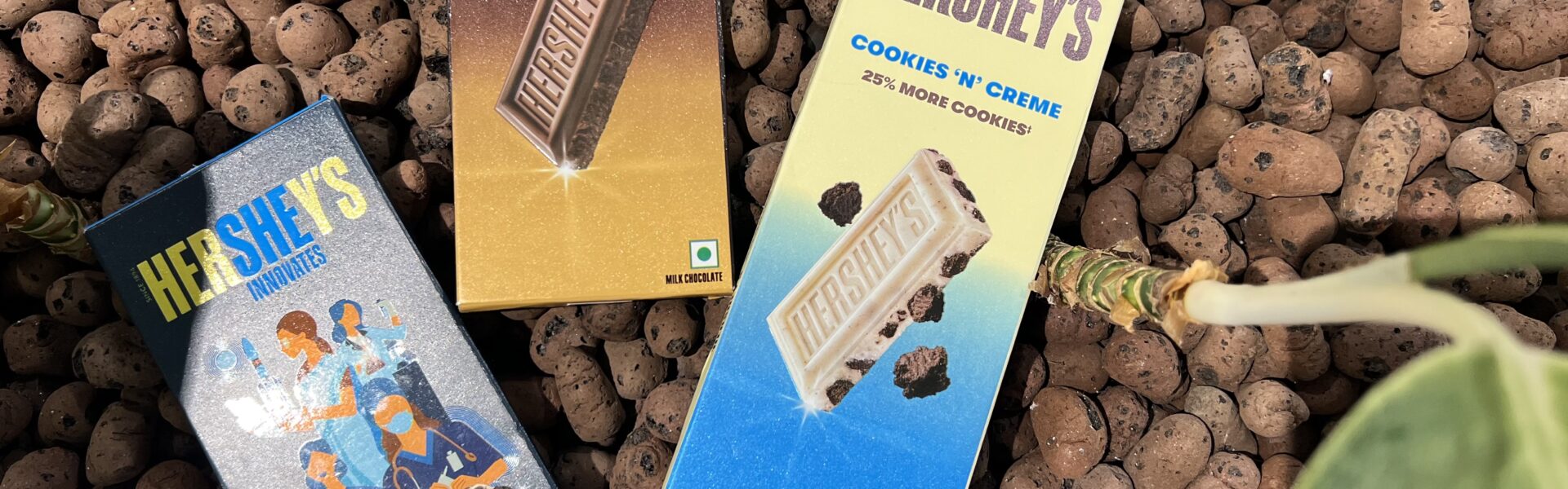 Hershey's Chocolate: Crafting Moments of Joy with Every Bite - Chocolates - TheMemoryBites