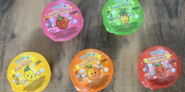 Savor the Flavor of Summer with Cocon Nata de Coco Pudding - Puddings Flavors - TheMemoryBites