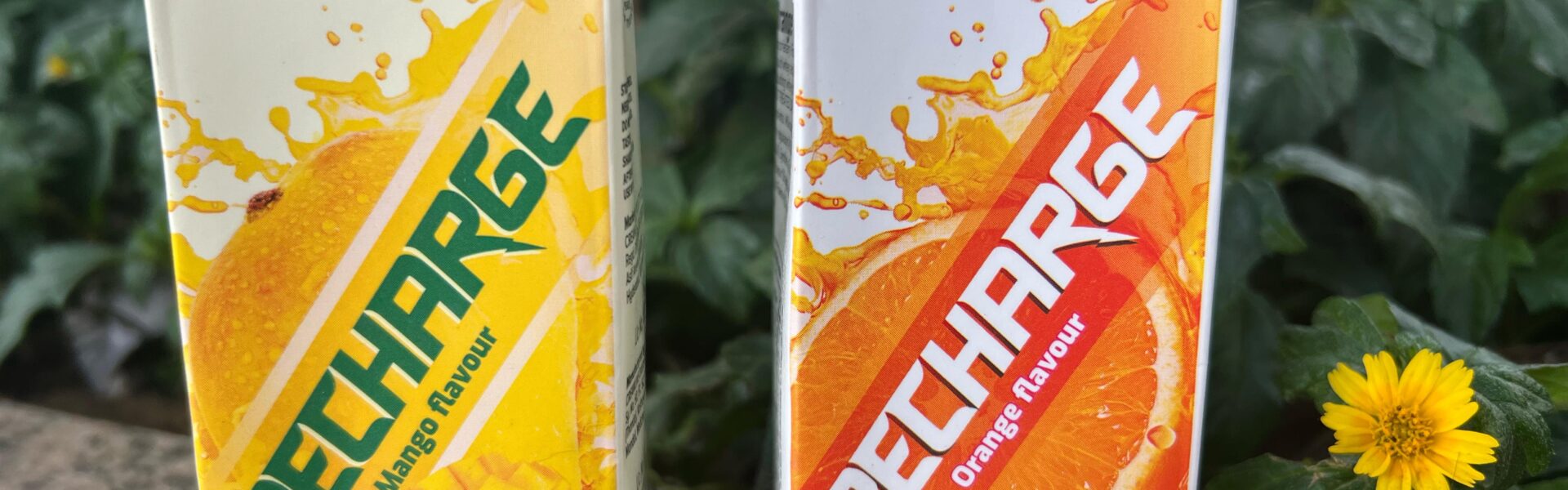 Stay Energized This Summer with Godrej Jersey Recharge Drink - TheMemoryBites