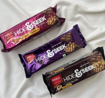 A Choco Chip Lover’s Guide to Hide & Seek’s Tastiest Variants - Hide & Seek - TheMemoryBites