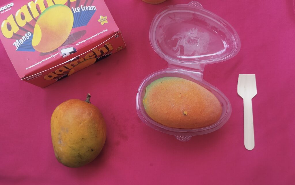 My Mango Year & the Delight of Hocco Aamchi Ice Cream 🥭 - Hocco Aamchi - TheMemoryBites