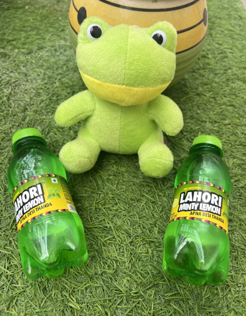 Lahori Minty Lemon: Tiny Bottle, Tangy Magic 🍋 - TheMemoryBites