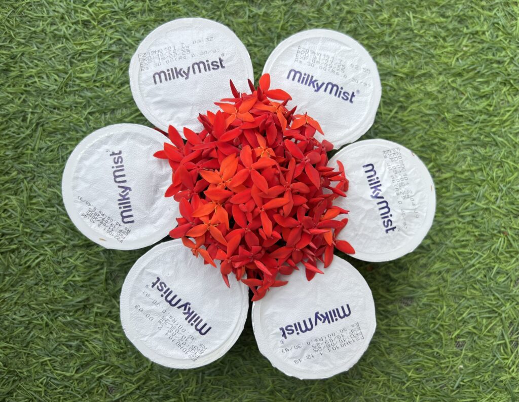 Milky Mist Yogurt: Six Flavours of Creamy, Guilt-Free Indulgence - TheMemoryBites