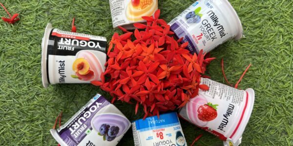 Milky Mist Yogurt: Six Flavours of Creamy, Guilt-Free Indulgence - All Flavours - TheMemoryBites