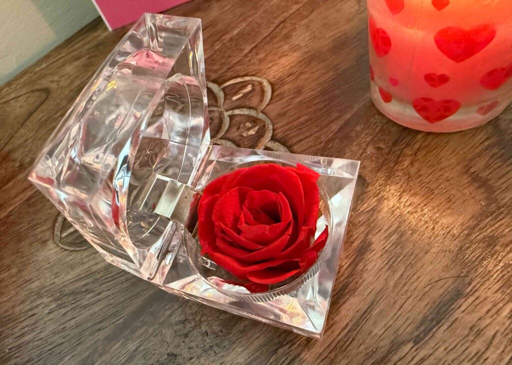 Happy Rose Day 2026 🌹 - TheMemoryBites - fnp